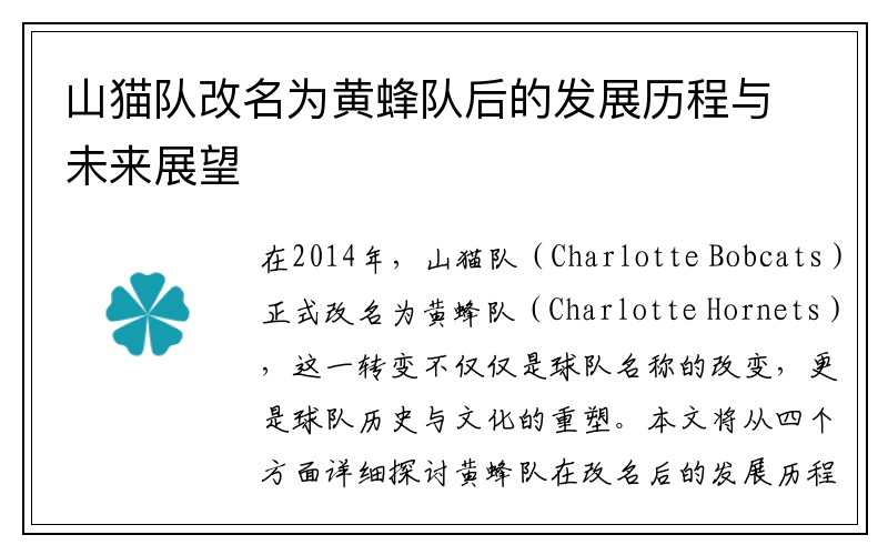 山猫队改名为黄蜂队后的发展历程与未来展望