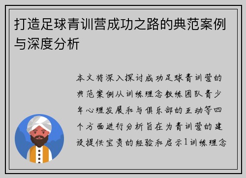 打造足球青训营成功之路的典范案例与深度分析