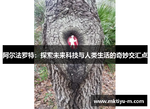 阿尔法罗特：探索未来科技与人类生活的奇妙交汇点